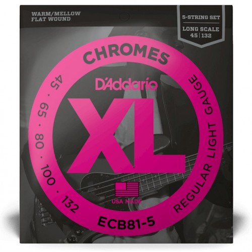 D'ADDARIO ECB81-5 XL CHROMES LONG SCALE .045/.132