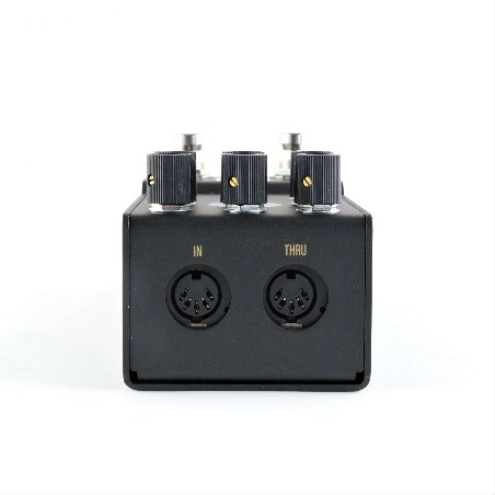 WALRUS AUDIO MAKO SERIES R1