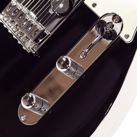 SCHECTER PT ROUTE 66 ARLINGTON