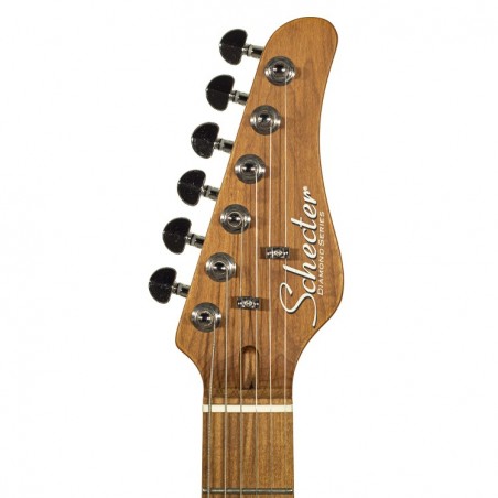 SCHECTER PT ROUTE 66 ARLINGTON