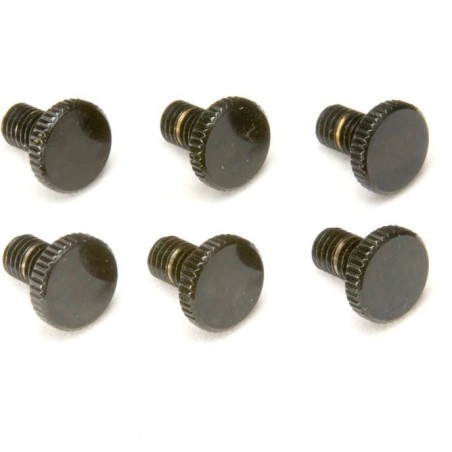 FLOYD ROSE ORIGINAL FINE TUNING SCREWS 6 PCS