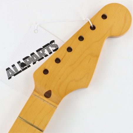 ALL PARTS STRATO MAPLE 10" 21T NITRO