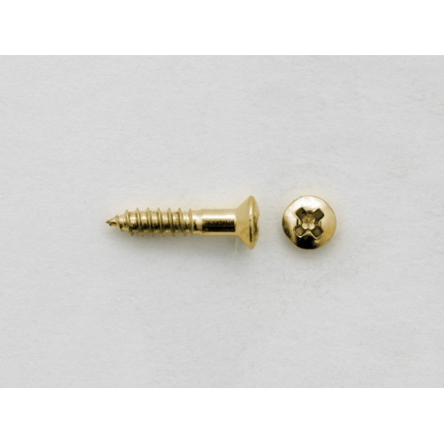 SCREWS FOR GIBSON STYLE PICKGUARD GOLD 10 PCS