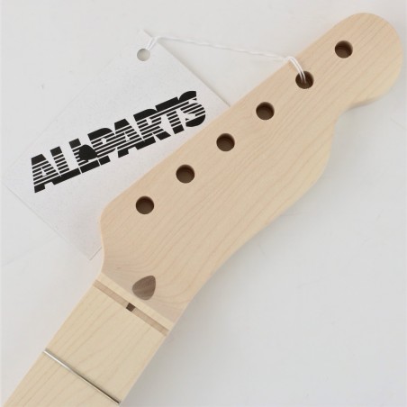 ALL PARTS TELE MAPLE 21T 10" DA VERNICIARE