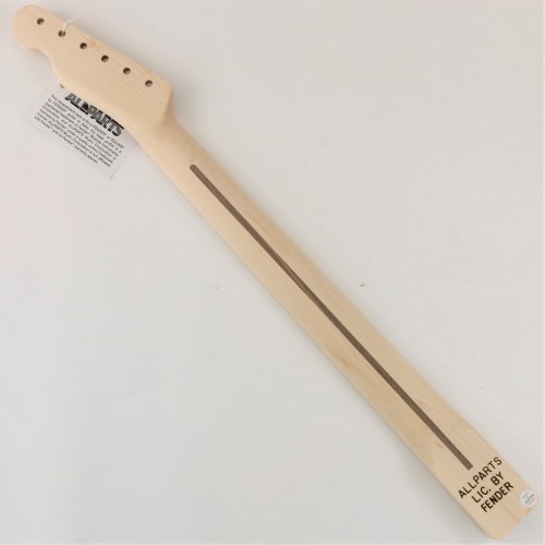 ALL PARTS TELE MAPLE 21T 10" DA VERNICIARE