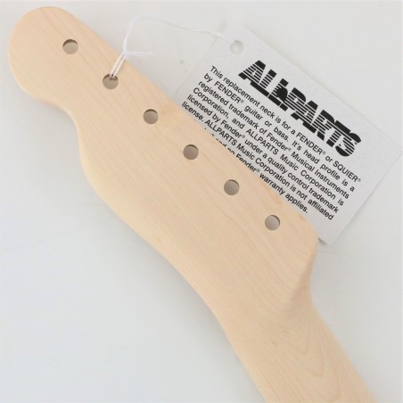 ALL PARTS TELE MAPLE 21T 10" DA VERNICIARE