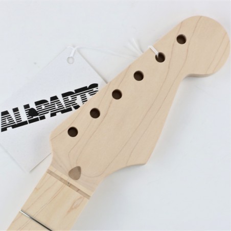 ALL PARTS STRATO MAPLE 21T FAT UNFINISHED