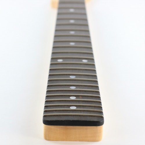 WD TELE NECK EBONY 22T