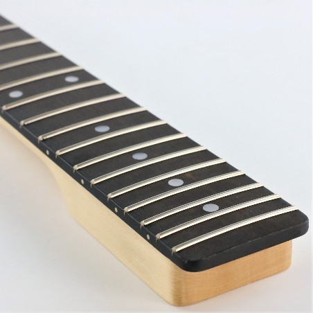 WD TELE NECK EBONY 22T