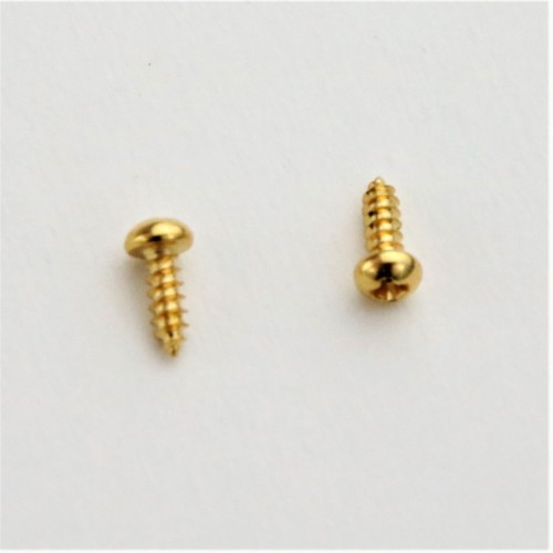 SCREWS FOR TRUSS ROD COVER 2PCS GOLD
