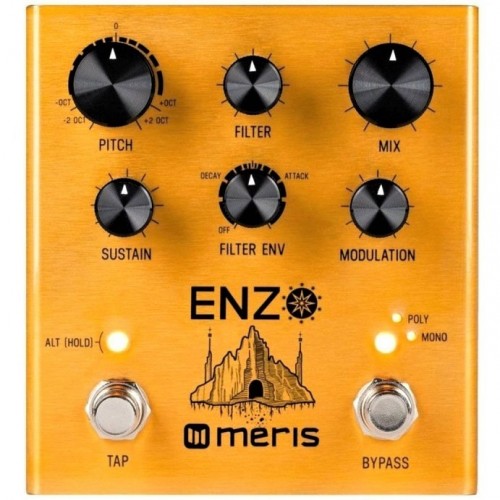 MERIS ENZO Multi-Voice Synthesizer