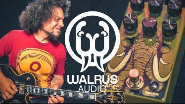 WALRUS AUDIO AGES