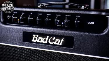 BAD CAT CUB
