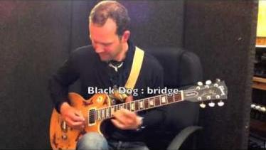 Bare Knuckle Pickups Official : Black Dog